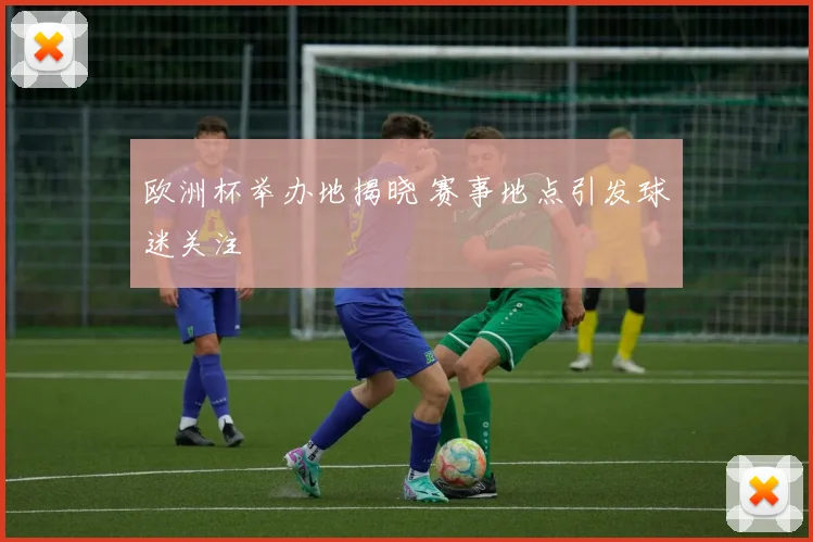 欧洲杯举办地揭晓 赛事地点引发球迷关注