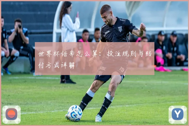 世界杯倍率怎么算:投注规则与赔付方式详解