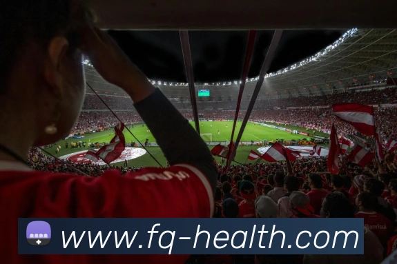 在线买世界杯平台平台生态图